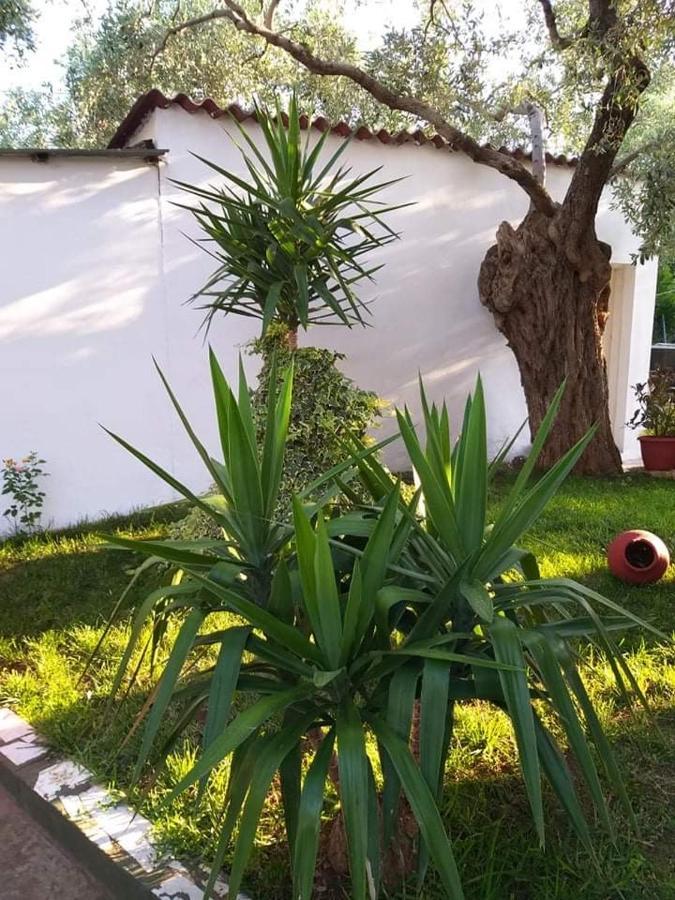 Valia House Thassos Apartment สกาลา กัลลีราคิส ภายนอก รูปภาพ