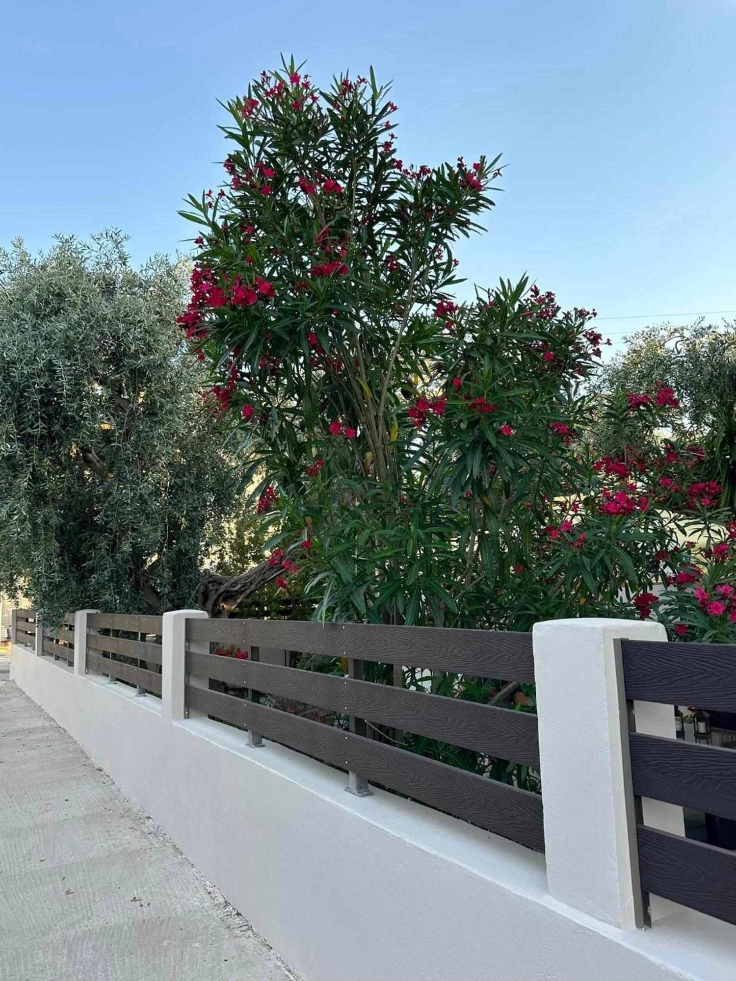 Valia House Thassos Apartment สกาลา กัลลีราคิส ภายนอก รูปภาพ