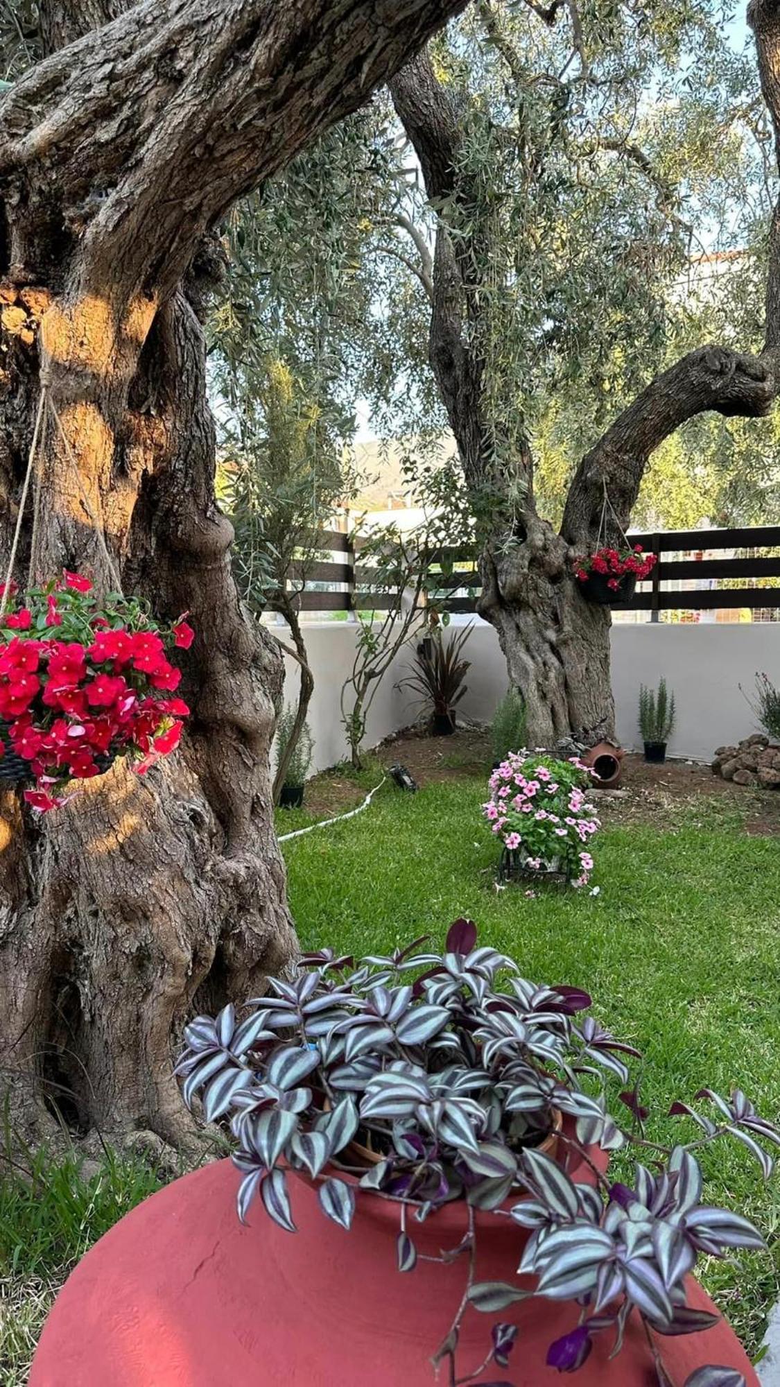 Valia House Thassos Apartment สกาลา กัลลีราคิส ภายนอก รูปภาพ